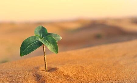 「墨汁」拥有“破局”思维力，你的未来人生将会更精彩