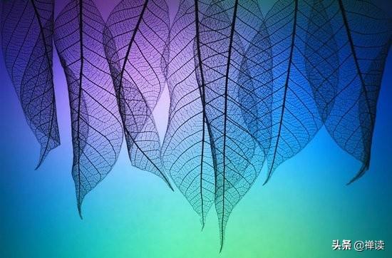 「励志新科技」无事时，澄然；有事时，断然