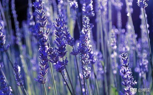 「励志新科技」无事时，澄然；有事时，断然