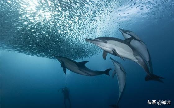 「大大说」命里有时终需要，命里无时莫强求