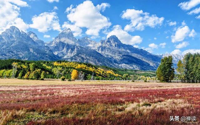 [小书仲]生活，得靠拼搏；前行，得靠梦想