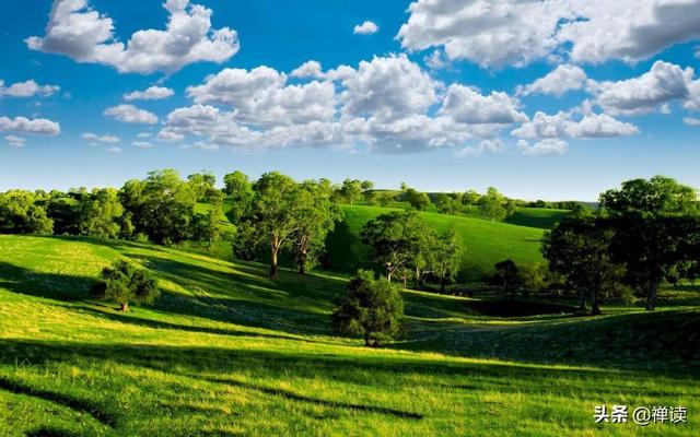 [小书仲]生活，得靠拼搏；前行，得靠梦想