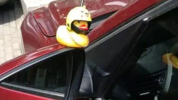 [秀山百姓网]你的车上有炫酷的“小黄鸭”吗？不仅危险还涉嫌违法