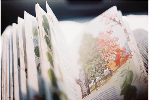 [阿豆]女人希望你追她的3大信号，你千万不要错过了！