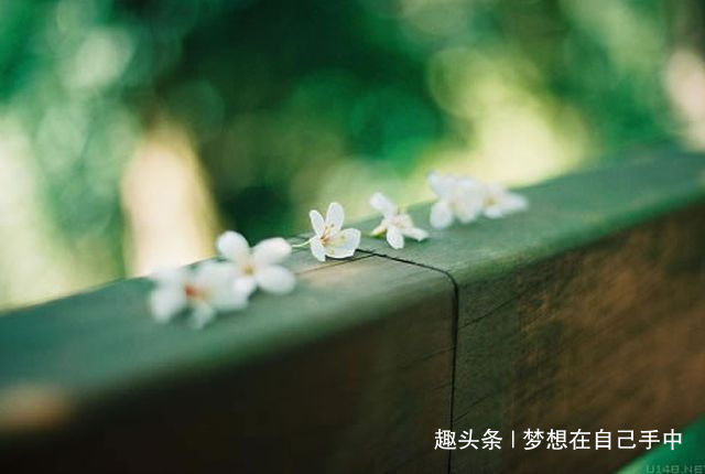 梦想在自己手中■人活着，靠自己才踏实