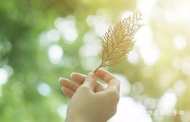 梦想在自己手中■人活着，靠自己才踏实