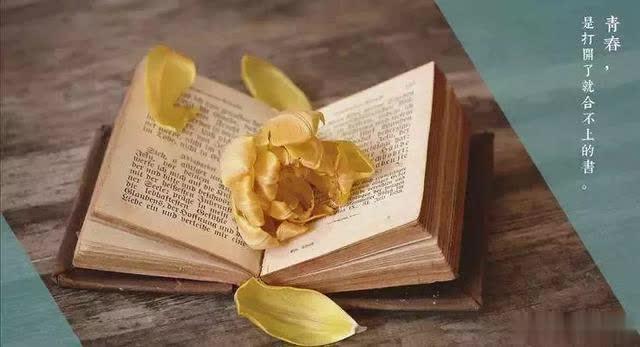 陕西讯：李香陶：我的青春岁月