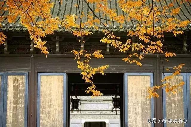 文思泉涌：若你回眸，秋风十里