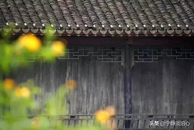 文思泉涌：若你回眸，秋风十里