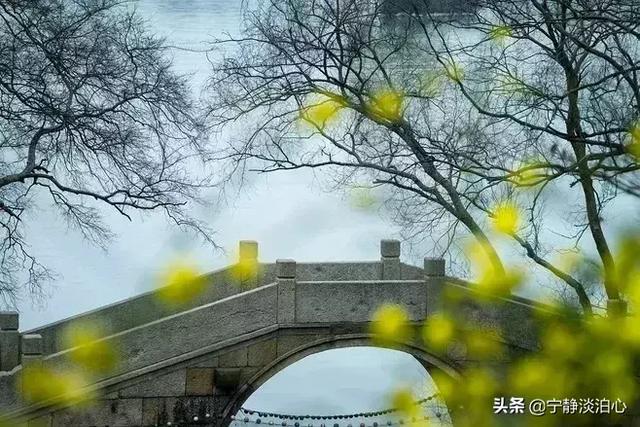 文思泉涌：若你回眸，秋风十里