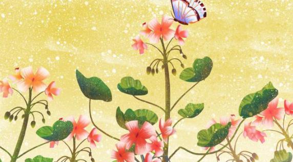 【小辉唠情感】女人释放3种“信号”，就是想让你“泡”，兄弟主动出击