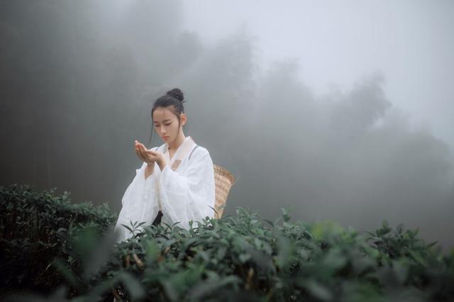 【励志情感天窗】一生太短，放下别人的错，解脱自己的心