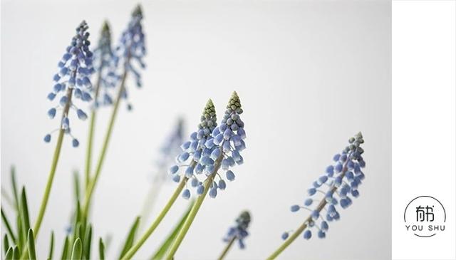 【校园留声机】如果一个人长期不与外界接触，没有朋友，这个人会怎样？