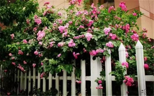 糖果儿：这就是我向往的日子，真美