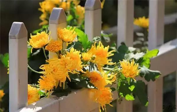 糖果儿：这就是我向往的日子，真美