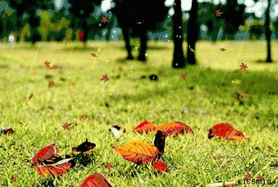 「佳作有约」《写秋》，太美了，太有才了，中国字太伟大了！