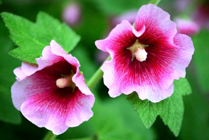 人生阅历分享■唯美走心的情感句子，句句扣人心弦，让人百读不厌