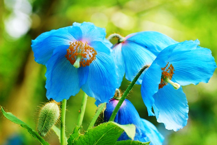 人生阅历分享■唯美走心的情感句子，句句扣人心弦，让人百读不厌