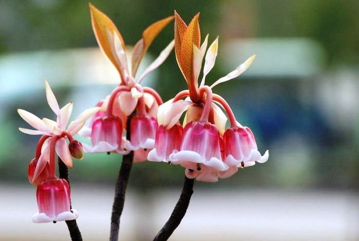 人生阅历分享■唯美走心的情感句子，句句扣人心弦，让人百读不厌