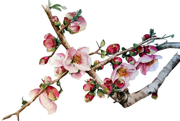 人生阅历分享■唯美走心的情感句子，句句扣人心弦，让人百读不厌