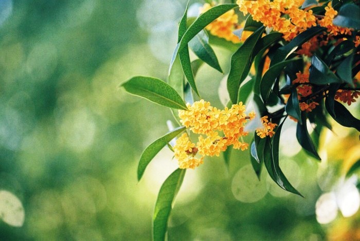 人生阅历分享■唯美走心的情感句子，句句扣人心弦，让人百读不厌