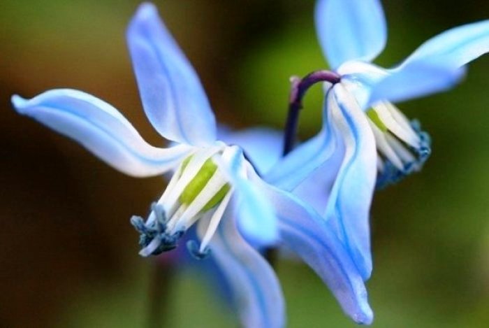 人生阅历分享■唯美走心的情感句子，句句扣人心弦，让人百读不厌