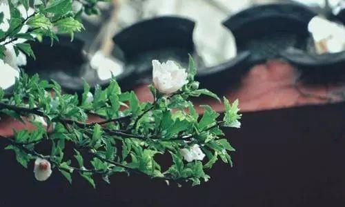 #时髦的小桃#不要赌天意，不要猜人心