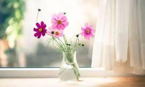 #时髦的小桃#不要赌天意，不要猜人心