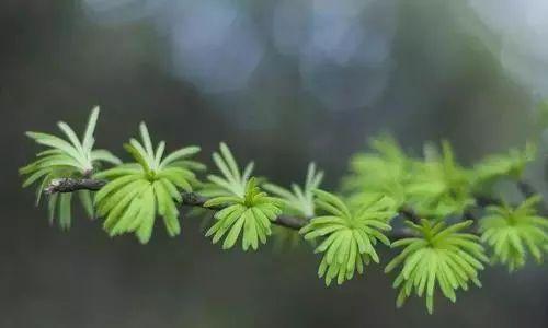 #时髦的小桃#不要赌天意，不要猜人心