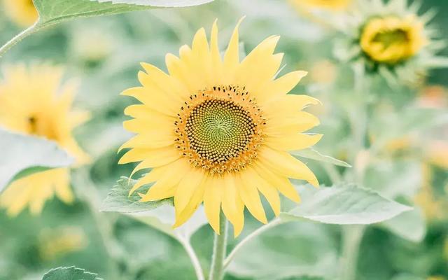 国学智慧生活■做人有尺，讲话有度