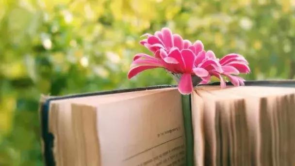 国学智慧生活■做人有尺，讲话有度