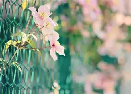 国学智慧生活■做人有尺，讲话有度