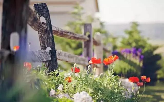 国学智慧生活■做人有尺，讲话有度