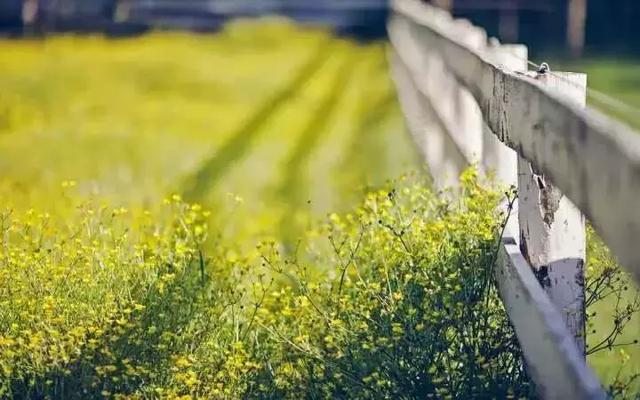 国学智慧生活■做人有尺，讲话有度