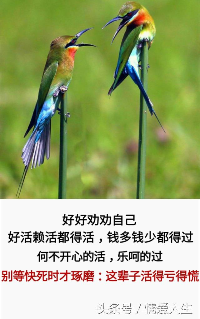 回味过去面对未来@人生很短：晃一晃就大了，晃两晃就老了，晃三晃就没了