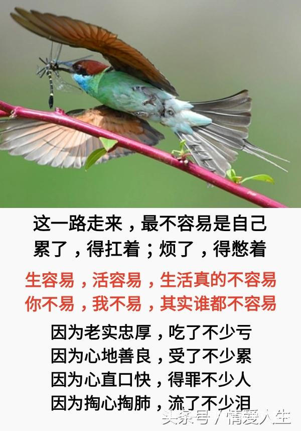 回味过去面对未来@人生很短：晃一晃就大了，晃两晃就老了，晃三晃就没了