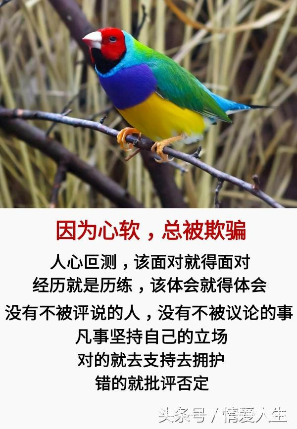 回味过去面对未来@人生很短：晃一晃就大了，晃两晃就老了，晃三晃就没了