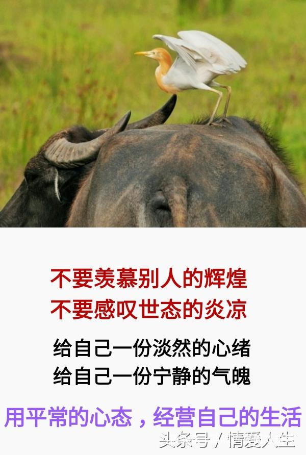 回味过去面对未来@人生很短：晃一晃就大了，晃两晃就老了，晃三晃就没了