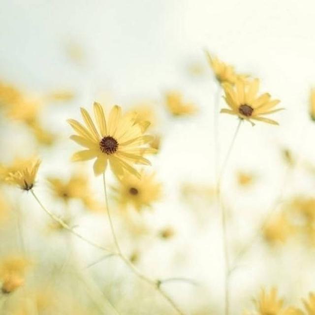 #心事迷雾#一个人内心强大的8种表现