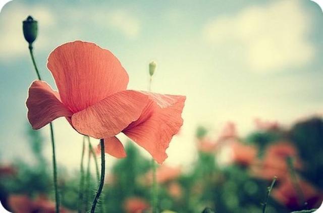 #心事迷雾#一个人内心强大的8种表现