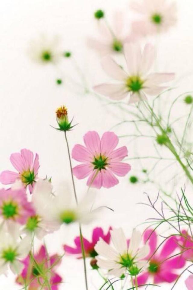 #心事迷雾#一个人内心强大的8种表现