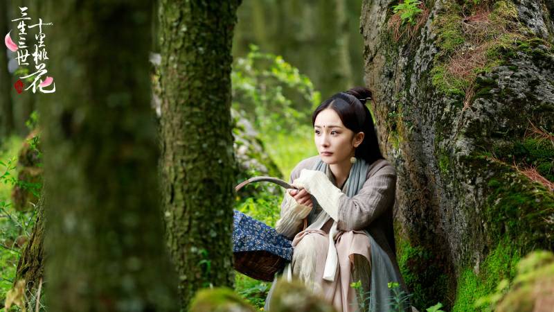 蓉儿爱文字：一封回家的日记