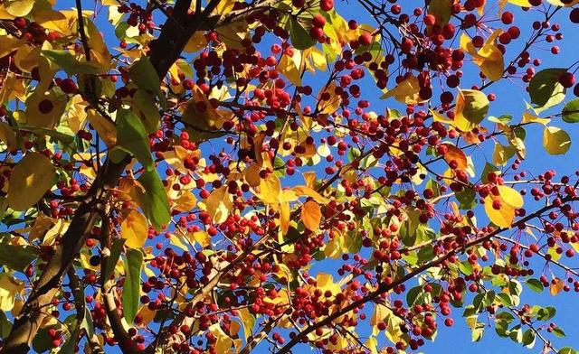 积极虹英：虚荣心是一种病态心理