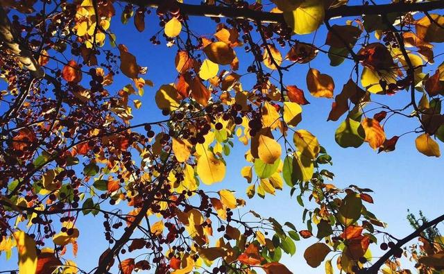 积极虹英：虚荣心是一种病态心理