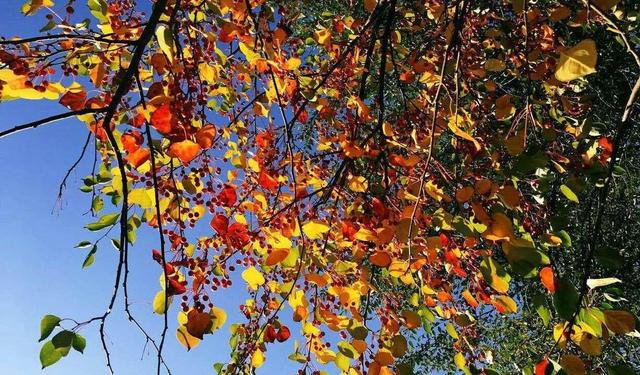 积极虹英：虚荣心是一种病态心理