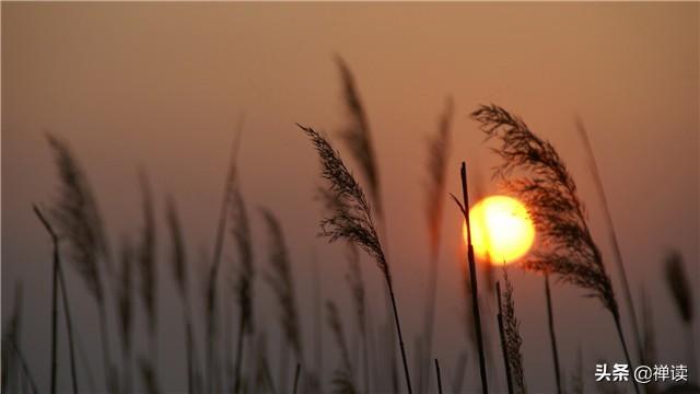 [励志图文影视]人重累人，心重累心