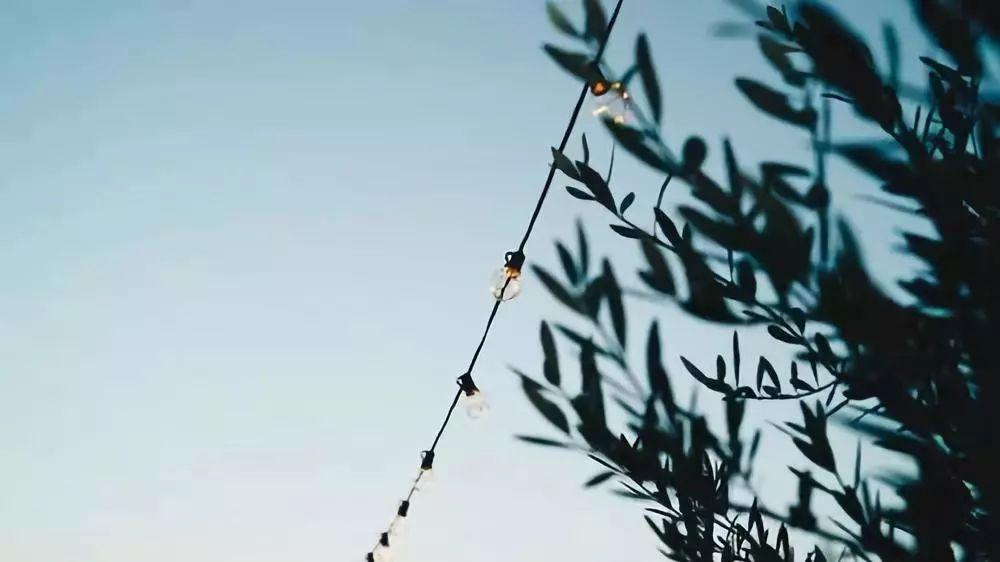 [女人多读书]我欣赏女人这样活着