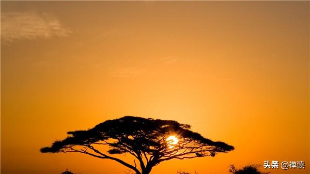 【小事大励志】没有路可以重走，没有人可以重来