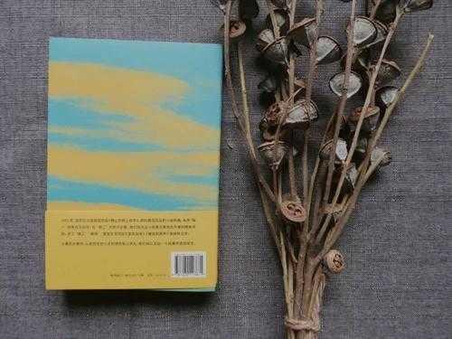 北烟胧月■39岁与世长辞，在《送行》里告别现实，袁哲生的小说堪称经典