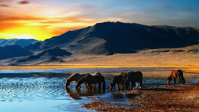 【欣云搞笑推荐】发自内心感慨的说说，句句经典至极，送给努力拼搏的你